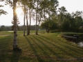 WGFWedding-117