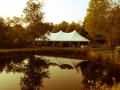 WGFWedding-119